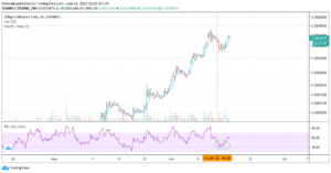ZILBNB reversal strategy large time frame
